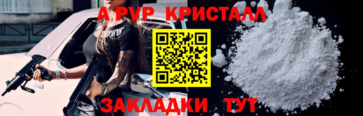 Alfa_PVP СК КРИС Губкин