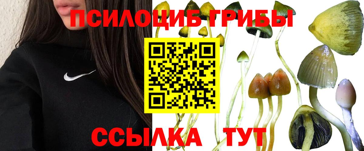 Губкин  Псилоцибиновые грибы ЛСД  Псилоцибиновые грибы мухоморы  Вход с VPN 