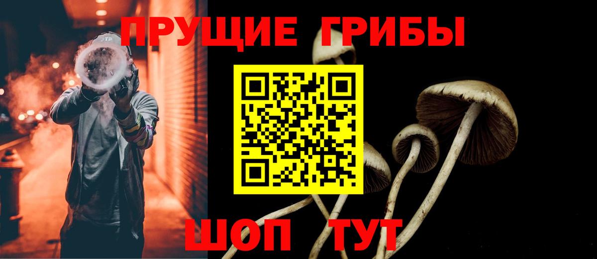 Галлюциногенные грибы прущие грибы Губкин