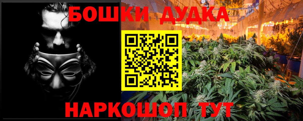 Шишки марихуана планчик  Вход с VPN  Шишки марихуана марихуана  Губкин  Шишки марихуана ГИДРОПОН 